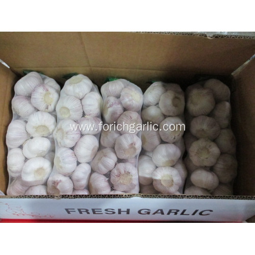 2020 Normal White Garlic Price